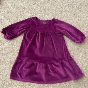Tea Collection velvet dress size 4.